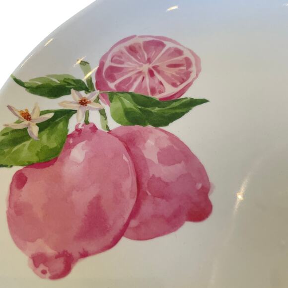 Soho Loft Pink Lemons Melamine Dinner Plates 11in Summer Fruit Set of 4 NEW - Picture 4 of 5